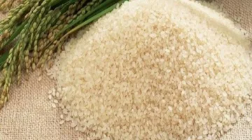 سعر طن الأرز البني في الأسواق اليوم، الخميس 12 يونيو 2025