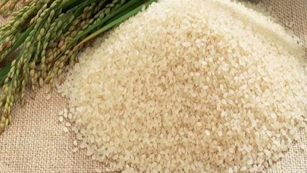 سعر طن الأرز البني في الأسواق اليوم، الخميس 12 يونيو 2025 سعر طن الأرز البني في الأسواق اليوم، الخميس 12 يونيو 2025