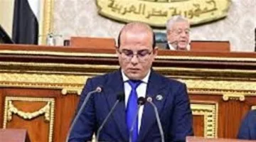 نائب برلماني: مصر ستظل تساند القضية الفلسطينية