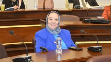 النائبة حياة خطاب: السيسي أنقذ مصر من الفوضى والظلام في 30 يونيو