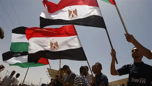 منذ بداية الأزمة، مصر استنفرت جميع مواردها لمساعدة الفلسطينيين في غزة. منذ بداية الأزمة، مصر استنفرت جميع مواردها لمساعدة الفلسطينيين في غزة.