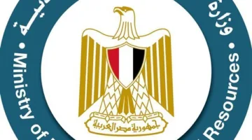 قرار رئاسي بتغيير بعض مواد قانون الثروة المعدنية.. اكتشف التفاصيل.