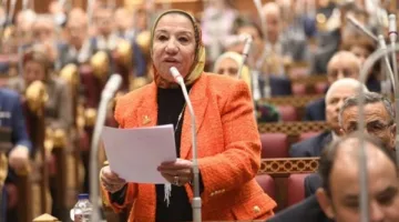 النائبة حياة خطاب: السيسي أنقذ مصر من الفوضى والظلام في 30 يونيو