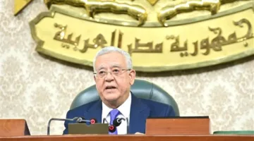 حسن عمار: بيان وزارة الخارجية كشف حملات التشويه وأكد تأييد مصر للقضية الفلسطينية