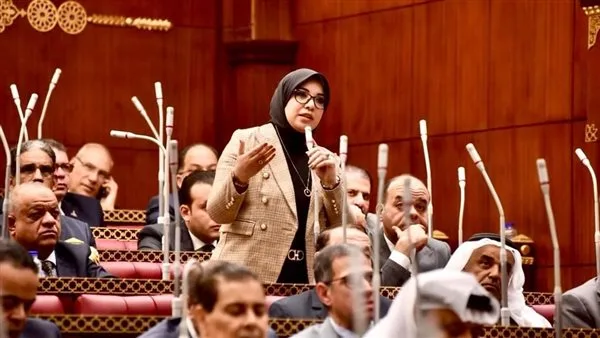 النائبة دينا هلالي: بيان وزارة الخارجية كان حاسمًا ويؤكد الالتزام بأسس الأمن القومي. النائبة دينا هلالي: بيان وزارة الخارجية كان حاسمًا ويؤكد الالتزام بأسس الأمن القومي.