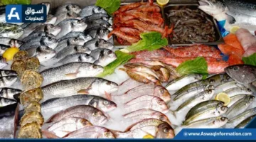 انخفاض أسعار السبيط اليوم الخميس في سوق العبور للأسماك