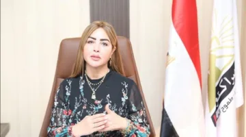 جيهان مديح: مصر تتخذ نهجاً مسؤولاً في حماية أمنها الوطني وتعزيز قضية فلسطين