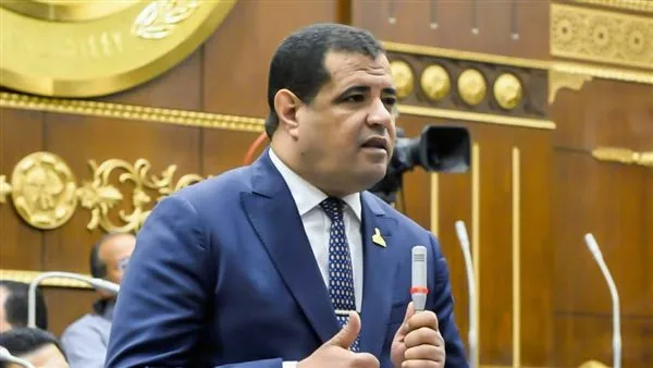 عضو بمجلس الشيوخ: تصريح وزارة الخارجية يبرز المبادئ الثابتة للدولة التي تؤيد القضية الفلسطينية عضو بمجلس الشيوخ: تصريح وزارة الخارجية يبرز المبادئ الثابتة للدولة التي تؤيد القضية الفلسطينية