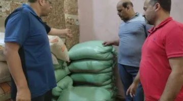 مصادرة 19 كيساً من الذرة والكمون غير المعروف مصدرهما في حملات تموينية بالإسكندرية