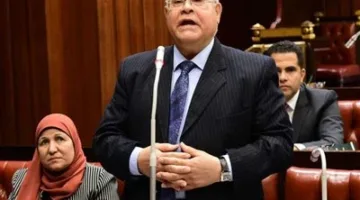 ناجي الشهابي لـ تحيا مصر: حدود مصر محمية.. وسيادتها الوطنية خط غير قابل للتجاوز