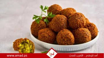 أصول الفلافل: من مصر إلى باقي دول العالم