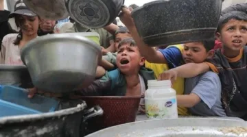 بيان موحد من ست دول أوروبية: نطالب بوقف إطلاق نار عاجل في غزة واستئناف المساعدات بشكل سريع