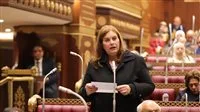 الخارجية المصرية: استغلال اسم مصر لتشويه موقفها من القضية الفلسطينية محاولات غير ناجحة الخارجية المصرية: استغلال اسم مصر لتشويه موقفها من القضية الفلسطينية محاولات غير ناجحة
