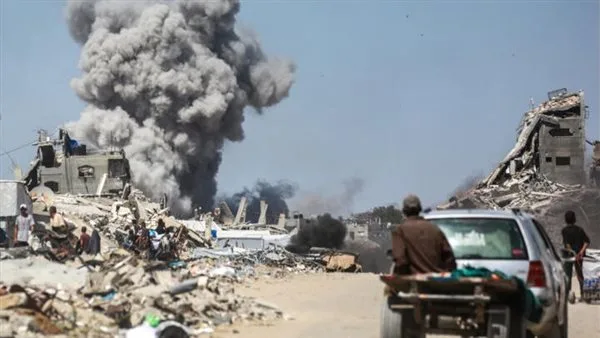 أستاذ في العلوم السياسية: جهود متعمدة لتشويه موقف مصر في دعم غزة أستاذ في العلوم السياسية: جهود متعمدة لتشويه موقف مصر في دعم غزة