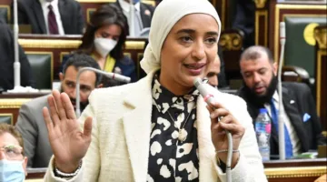 نائبة: مصر ليست مستعدة لتقبل أي محاولات لتقليل قيمة مواقفها بشأن القضية الفلسطينية.