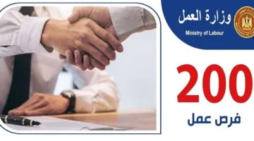 200 فرصة توظيف للشباب في القاهرة والجيزة… تفاصيل الروابط ومواعيد وأماكن التقديم