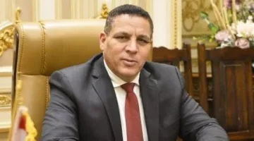 نائب برلماني: مصر تساند فلسطين بمواقف ثابتة.. وأمنها القومي خط أحمر.