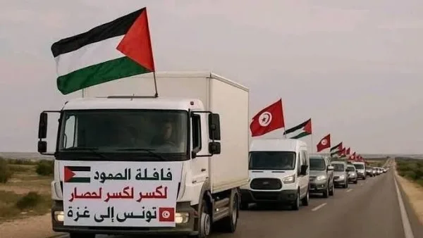 محمد موسى: قافلة الصمود ستار مزيف للفوضى والاضطراب على حدود مصر محمد موسى: قافلة الصمود ستار مزيف للفوضى والاضطراب على حدود مصر
