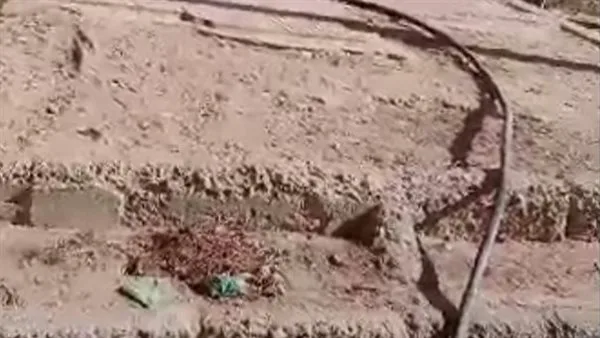 إصابة عامل بحروق نتيجة صعق كهربائي في الدقهلية إصابة عامل بحروق نتيجة صعق كهربائي في الدقهلية