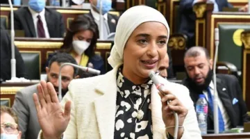 أميرة أبوشقة: أمن مصر وحمايتها لأراضيها أمر لا يمكن التفاوض عليه
