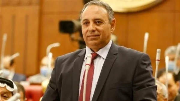 إرادة جيل: تنظيم الإخوان المسلمون يشكل تهديدًا للأمن والاستقرار في مصر إرادة جيل: تنظيم الإخوان المسلمون يشكل تهديدًا للأمن والاستقرار في مصر