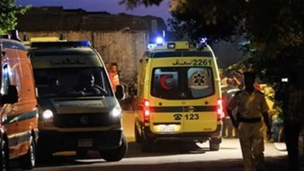 وفاة طفل نتيجة اصطدام سيارتين في الشيخ زايد وفاة طفل نتيجة اصطدام سيارتين في الشيخ زايد