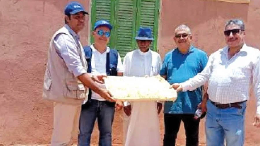 تأسيس المركز الأول لإنتاج الحرير الطبيعي في الوادي الجديد تأسيس المركز الأول لإنتاج الحرير الطبيعي في الوادي الجديد