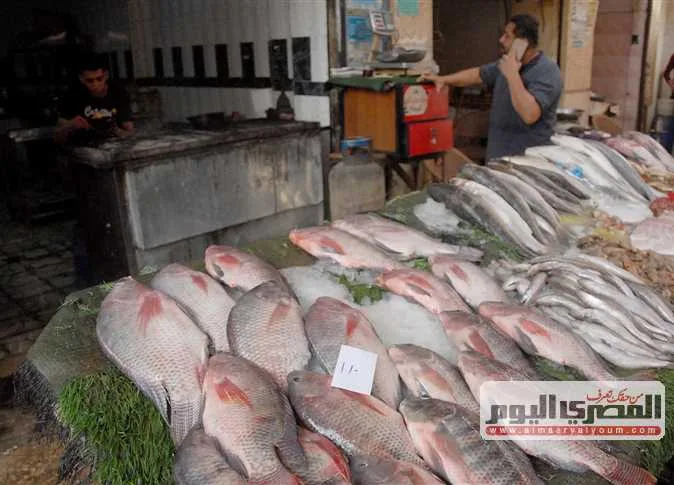 أسعار الكابوريا والجمبري والأسماك في الأسواق اليوم، الجمعة 13 يونيو 2025 أسعار الكابوريا والجمبري والأسماك في الأسواق اليوم، الجمعة 13 يونيو 2025