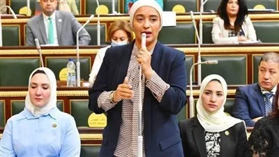 النائبة أميرة أبو شقة: مصر ترفض أي مساومة على مواقفها بشأن القضية الفلسطينية النائبة أميرة أبو شقة: مصر ترفض أي مساومة على مواقفها بشأن القضية الفلسطينية