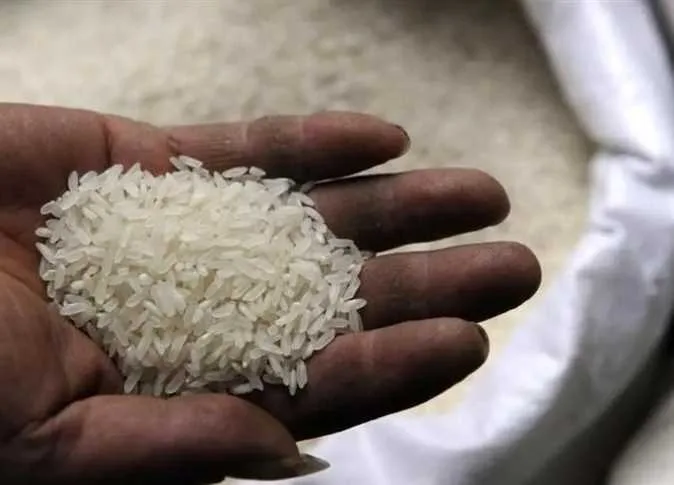 ما هو سعر الطن؟ أسعار الأرز اليوم الجمعة 13 يونيو 2025 في الأسواق ما هو سعر الطن؟ أسعار الأرز اليوم الجمعة 13 يونيو 2025 في الأسواق