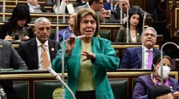 فريدة الشوباشي: لا أحد يتفوق على مصر في دعمها، ومن يريد الدفاع عن القضية الفلسطينية يجب أن يفعل ذلك من بلده وليس من هنا.