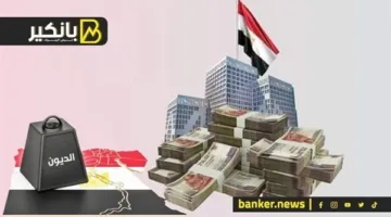 مصر ستتحرر من عبء الديون بفكرة مبتكرة.. القضية هامة والدولة تتحرك بنشاط.