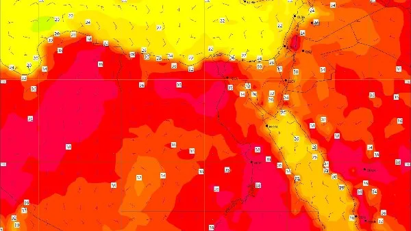 الأرصاد تنبه: ارتفاع حاد في درجات الحرارة اليوم الجمعة مع ظهور ضباب صباحي الأرصاد تنبه: ارتفاع حاد في درجات الحرارة اليوم الجمعة مع ظهور ضباب صباحي