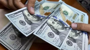 تحديث لحظي لسعر الدولار مقابل الجنيه المصري في البنوك اليوم