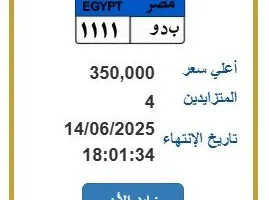 بـ 350 ألف جنيه.. عرض مزايدة على لوحة سيارة فريدة
