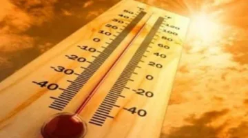 طقس حار للغاية اليوم مع تحذيرات من ضباب كثيف ورياح متغيرة.