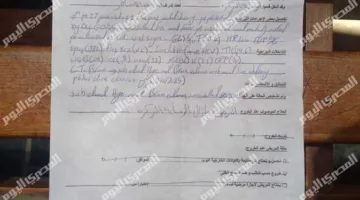 “العصا تحمل اسم البلوجر” … تفاصيل جريمة قتل شاب في العباسية على يد ثلاثة من أصدقائه