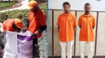 توضيح تفاصيل حادثة وضع شخصين كلابًا داخل أكياس في مطروح «فيديو»
