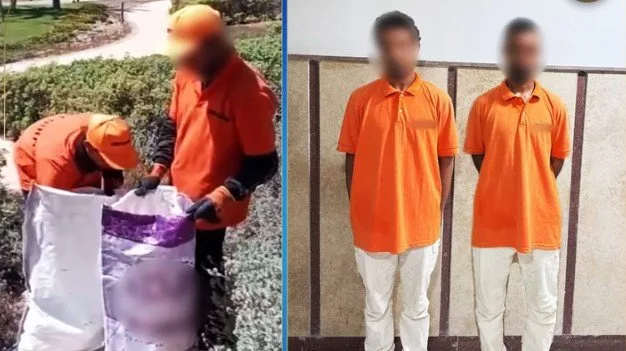 توضيح تفاصيل حادثة وضع شخصين كلابًا داخل أكياس في مطروح «فيديو» توضيح تفاصيل حادثة وضع شخصين كلابًا داخل أكياس في مطروح «فيديو»