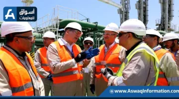 وزير البترول يزور موقع السفينة الثالثة للتغييز في ميناء العين السخنة | صور