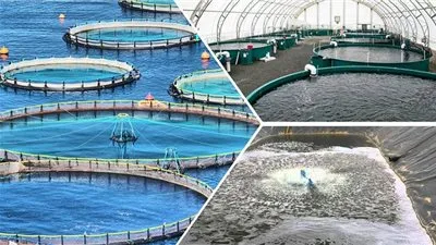 التحديات التي تواجه الثروة السمكية والحفاظ على البيئة البحرية التحديات التي تواجه الثروة السمكية والحفاظ على البيئة البحرية
