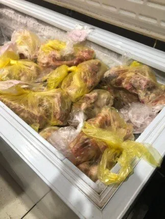 مصادرة 600 كجم من اللحوم الفاسدة في مطعم معروف ببنها.. صحة القليوبية توصي بإغلاقه مصادرة 600 كجم من اللحوم الفاسدة في مطعم معروف ببنها.. صحة القليوبية توصي بإغلاقه