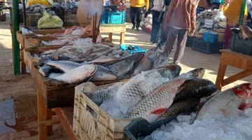 أسعار الأسماك في أسواق الوادي الجديد اليوم