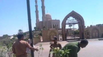 زيادة جهود النظافة العامة، إزالة العوائق، إنارة الشوارع، وتشذيب وري الأشجار في أسوان.