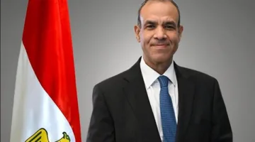 وزير الخارجية: مساعي مشتركة من مصر وقطر والولايات المتحدة لفرض هدنة في غزة
