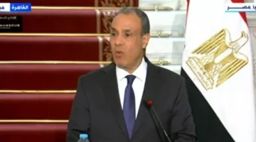 وزير الخارجية: لا يمكن تحقيق الأمن والاستقرار في المنطقة دون إنشاء دولة فلسطينية