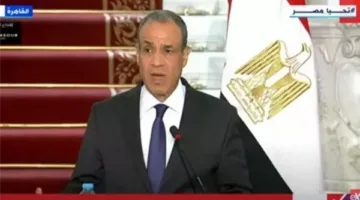 وزير الخارجية: أكثر من 1600 شركة من ألمانيا تنشط في مجالات متنوعة في مصر