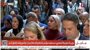عبد العاطي للدستور: يوجد توافق إقليمي واسع على رفض انتهاك سيادة الدول ومنع انتشار الأسلحة النووية.