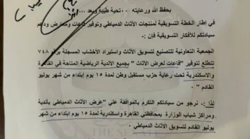 وزير الشباب يوافق على اقتراح أعضاء مجلس الشيوخ بتخصيص أندية لعرض الأثاث الدمياطي
