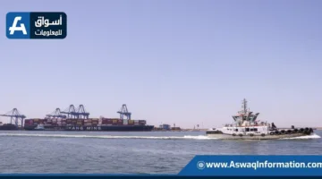 ميناء دمياط يستقبل 33102 طن من البضائع تشمل الذرة والزيت والحديد